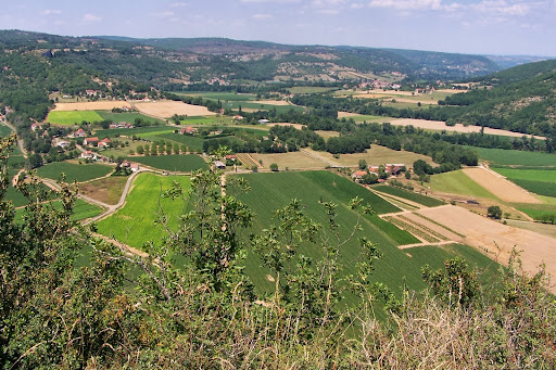 Nous proposons un hebergement de qualité avec du calme sous un bois de chenes du quercy