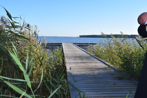 Camping nature sur la cÃ´te Atlantique à Lacanau