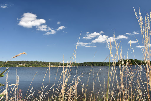 au bord d'un lac