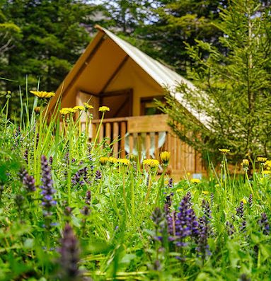 le camping familiale des eaux douces est un lieu ou nature et calme règnent.