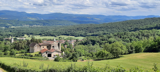 Camping de Journans dans la verdure avec vue imprenable sur les vignes et le village. Calme et tranquillité