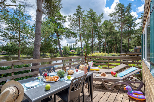 Découvrez notre camping dans les Vosges 4 étoiles