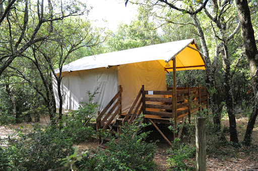 Ce camping a une particularité qui va enchanter les amoureux de la nature : il est situé aucoeur de la Réserve Naturelle des Gorges de l'Ardèche.