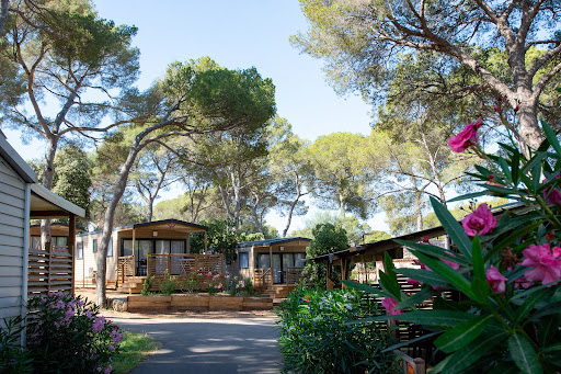 Le camping La Plage du Dramont vous propose une situation idéale à Saint-Raphaël entre la plage du débarquement et le massif de l'Esterel. Des vacances vue sur mer en pleine nature !