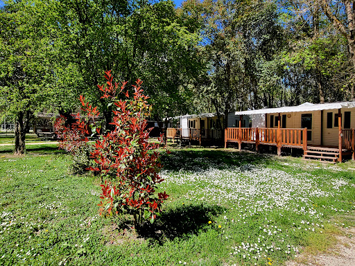 Le camping du Lion situé en Ardèche et un camping proche de la nature au bord du Rhône et des gorges de l'Ardèche