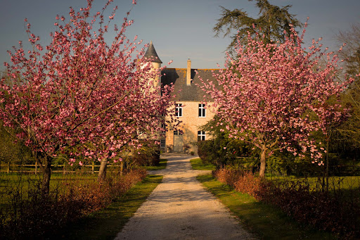 Perrine and Thibault warmly welcome guests of all ages for a truly unique holiday. Bienvenue au Château de Monfréville!