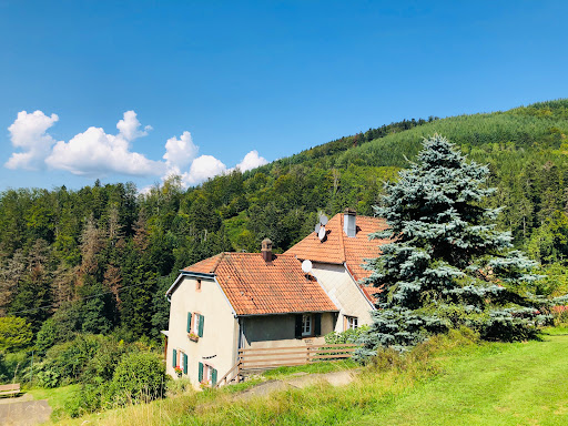 Gites avec piscine