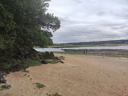 La commune de Lézardrieux est située dans les Côtes d'Armor en Bretagne. Toutes les informations municipales