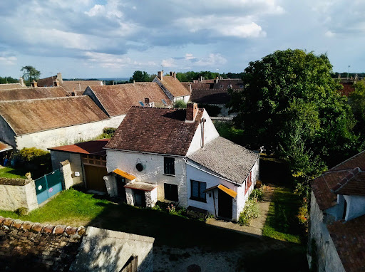 Le refuge le Bolet de Satan est un gîte pour randonneurs situé au cœur de la forêt de Fontainebleau. Profitez d'un hébergement confortable et d'un cadre naturel exceptionnel pour vos randonnées.