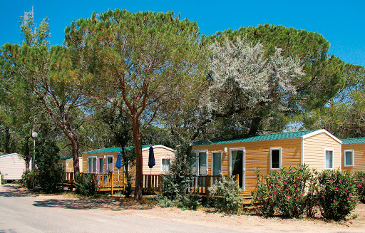 Le camping les "Blancs Chênes" 4 étoiles vous accueille en Camargue dans le Gard pour des vacances reposantes entre amis