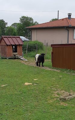 Nous sommes Michel et Pascale Bernadas et nous vous proposons de passer un petit moment de détente au camping à la ferme "Chez Baptistou".