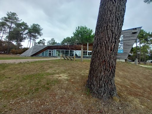 Hébergements au Lac de Trémelin : 100 emplacements en camping