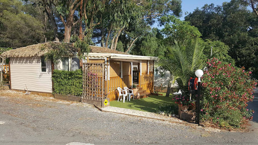 Notre camping à La Londe-les-Maures vous accueille dans une ambiance conviviale et résolument familiale. Pour la plus grande joie des petits et des grands.