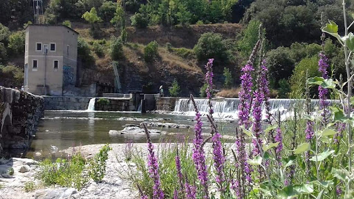 Camping à la Ferme à Vallon Pont d'Arc