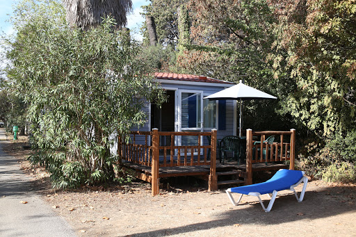 Venez vous ressourcer en famille ou entre amis au Camping Paradis Les Palmiers. Profitez de notre espace aquatique