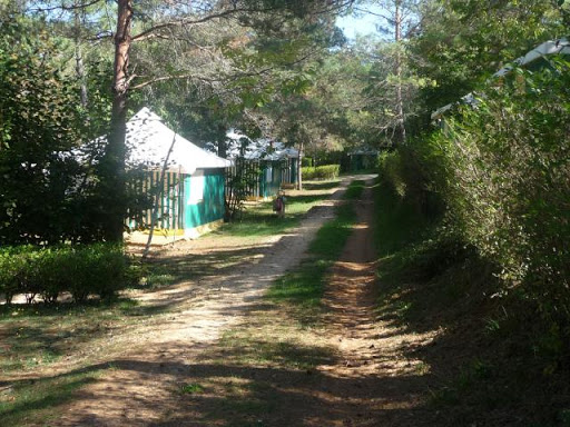 Évadez-vous au camping libertin Le Diamant Noir en Dordogne