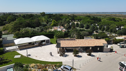 Camping ile de Ré : dans un cadre idyllique