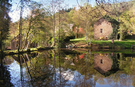 Ouroux en Morvan: Verhuur gites en camping met safaritent middenin het bosrijke Parc du Morvan met uitzicht op vismeertje