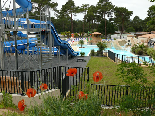 Découvrez le camping Palmyre Loisirs 4 étoiles à Les Mathes. Camping au cœur de la forêt avec un parc aquatique et de nombreuses activités pour petits et grands !