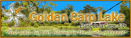 Golden Carp Lake