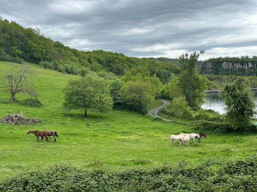 La Ferme du Lac... la passion ?questre ! R?gine et Robert vous accueillent pour des vacances en famille