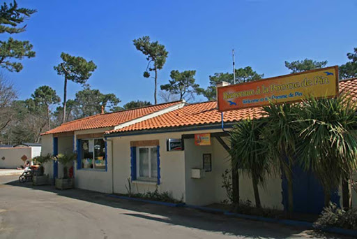 Vos vacances au camping Paradis La Pomme de Pin.à Jard sur Mer au bord de la mer à 150 mètres de la plage en Vendée.