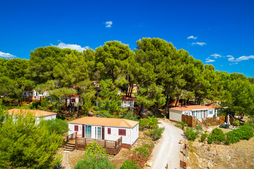 Visitez l’Hérault depuis notre camping idéalement situé à 5 km de Pézenas. Un séjour inoubliable pour vous et votre famille