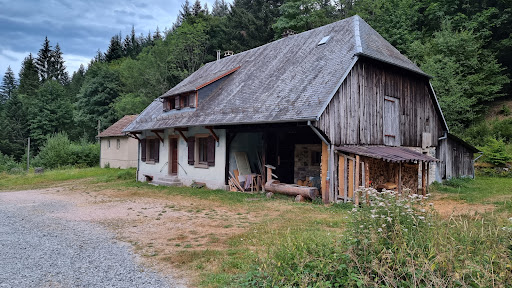 Camping du Langenwasen à 12km de Munster