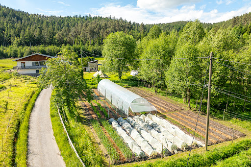 Les Jardins de Biffontaine - kleinschalige ecologische micro-glamping in de Vogezen