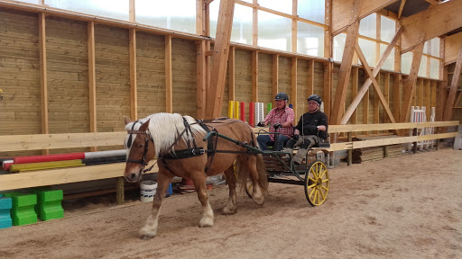 Venez découvrir notre centre équestre dans une ambiance familiale au sein d'un mas authentique rénové sur les contreforts de L'Aubrac