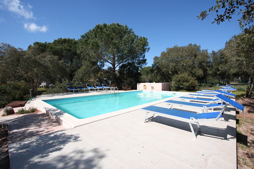 Dans un espace convivial & calme à Porto Vecchio