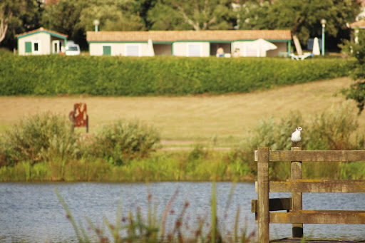 Bienvenue au camping 3 étoiles Les Ouches du Jaunay ouvert toute l'année en Vendée à Martinet avec piscine