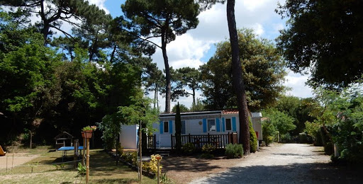 Camping 2 étoiles bord de mer à Meschers sur Gironde près de Royan : le Camping Les Ombrages vous accueille dans ses mobil homes à 250 mètres de la plage en Charente Maritime