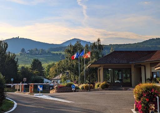 Le camping municipal de Ribeauvillé met à votre disposition ses emplacements en location pour vos vacances en Alsace. Un camping 4 étoiles pour découvrir les riches attraits de la région.