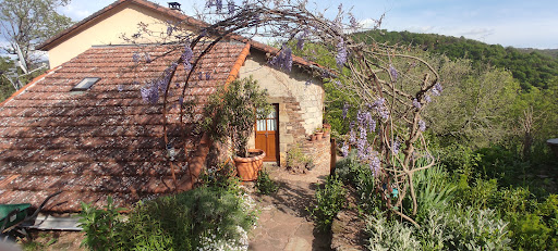 A small child-friendly mini campsite of Dutch owners located on the Tarn in the south of France