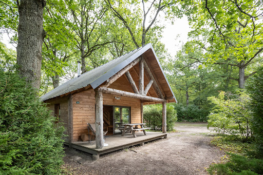 Partez en week-end ou en vacances à Paris et séjournez en camping au cœur de la forêt de Rambouillet. Profitez de nos hébergements en famille ou entre amis.