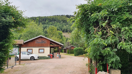 Emplacements de camping de vacances et chalets à louer en saisonnier. Votre séjour en camping dans les Hautes-Vosges proche des lacs de Gérardmer et Xonrupt-Longemer.