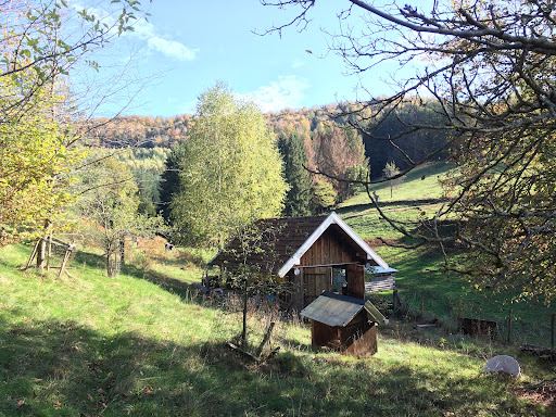 Dans la montagne des Vosges. Terrain de loisir en pleine nature