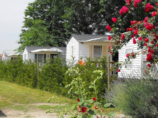 Calme et ombragé le camping Lacrouzade vous réserve un accueil chaleureux pour que vous vous sentiez comme à la maison. Choisissez votre emplacement de