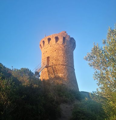 Le camping Fautea en Corse du sud vous accueille entre 2 plages de sable