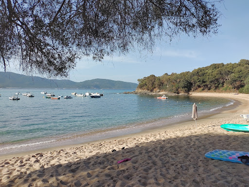 Le Zèbre in Corsica organise des colonies de vacances dans son centre en Corse