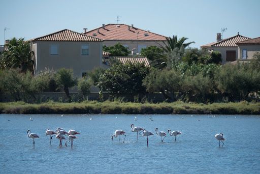 Camping Les Roquilles à Palavas