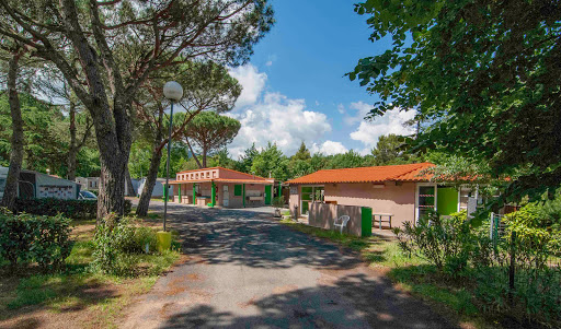 Découvrez notre camping nature au Boulou en Pyrénées-Orientales avec piscine