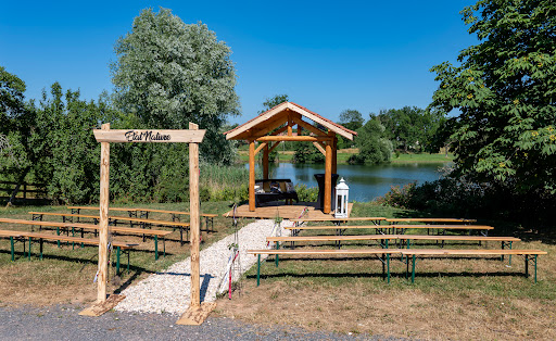 Bienvenue chez Etat Nature ! Au coeur du Grand Est (Lorraine)