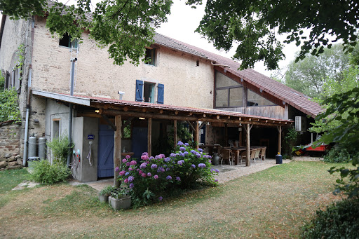 We heten u van harte welkom op onze boerderij in de Vogezen. U kunt overnachten in een van onze sfeervolle kamers in de B&B en genieten van de omgeving en ons mooie binnenzwembad.