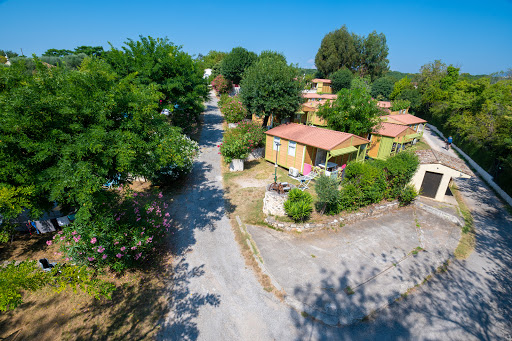 Le camping La Vieille Ferme à Villeneuve Loubet dans les Alpes Maritimes vous accueille au milieu du parc naturel départemental de Vaugrenier dans un décor verdoyant entre mer et montagne.