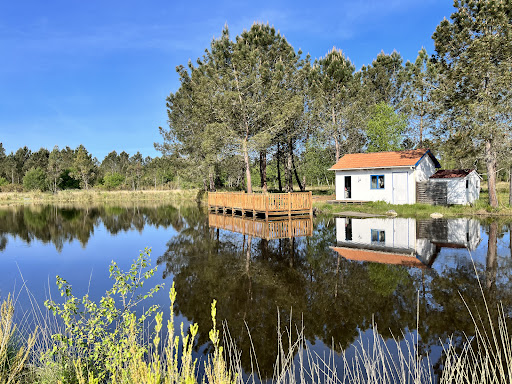 Camping proche de la plage et du lac d'Hourtin. Au coeur de la forêt de pins dans le médoc