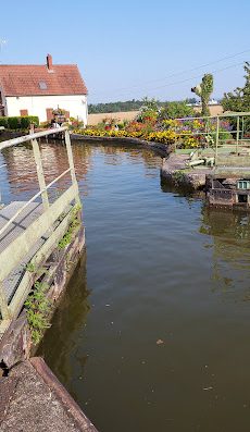 Nous sommes situés à 15km de Chalon sur Saône sur la D978 en direction d'Autun. Ouvert du 1er mai au 30 Septembre.