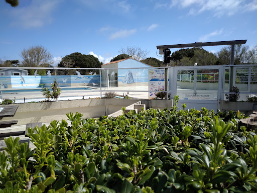 Séjournez dans notre camping Ile d'Oleron. Les Tamaris