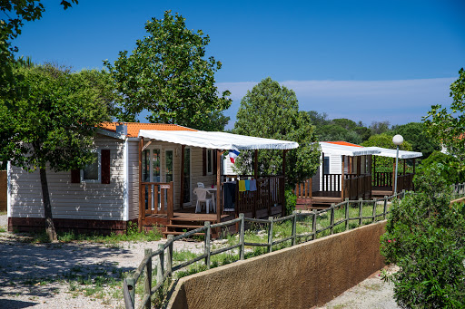 Découvrez le camping municipal La Pinède à Banyuls sur mer et louez un emplacement ou un mobil-home tout confort.